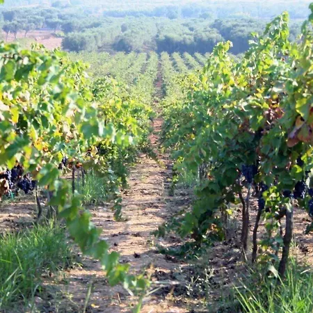 Corte Dei Nonni 프레제스